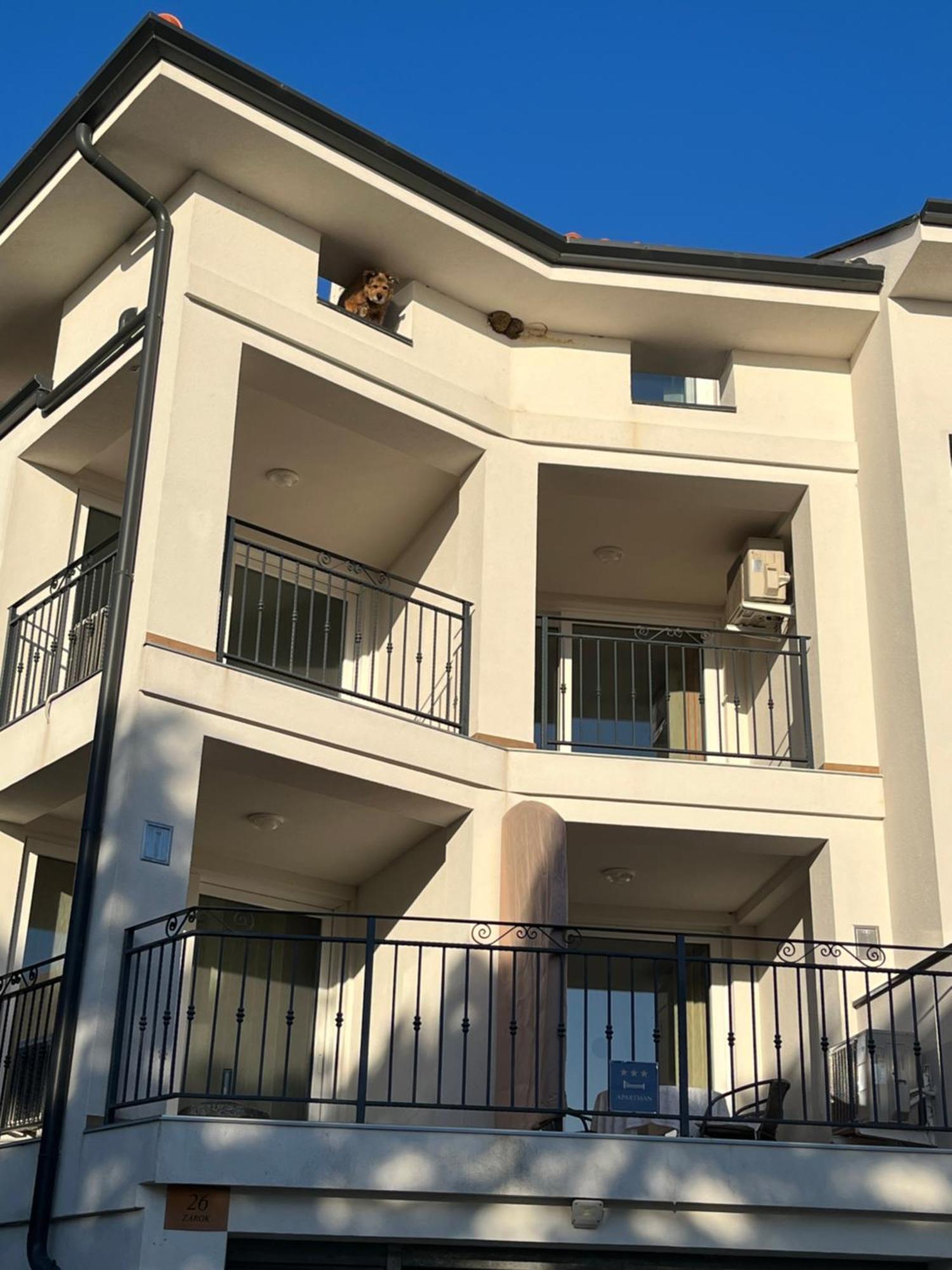 Apartments Amore Baška Eksteriør bilde