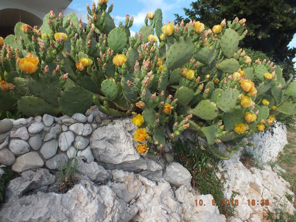 Apartments Amore Baška Eksteriør bilde